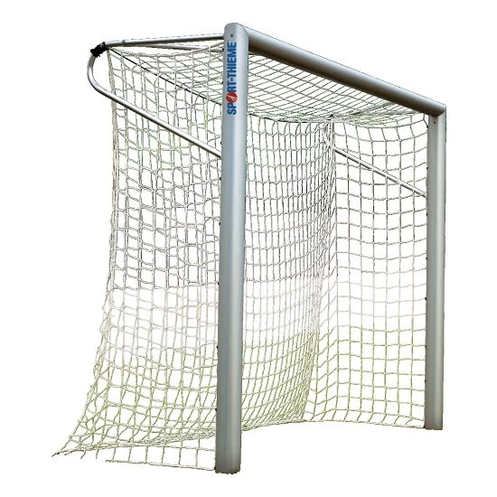 Sport-Thieme Kleinfeld-Fußballtor Ovalprofil 1 Sport-Thieme Kleinfeld-Fußballtor Ovalprofil
